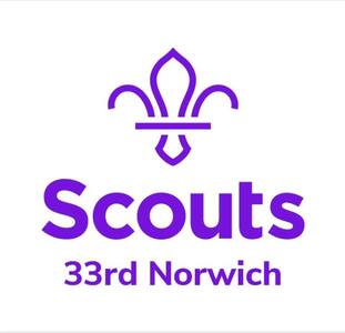 33rd Norwich Scout Group logo